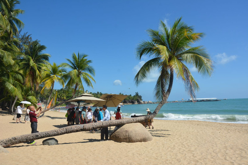 海南小巷深处的秘密花园，揭秘特色小店藏匿之地