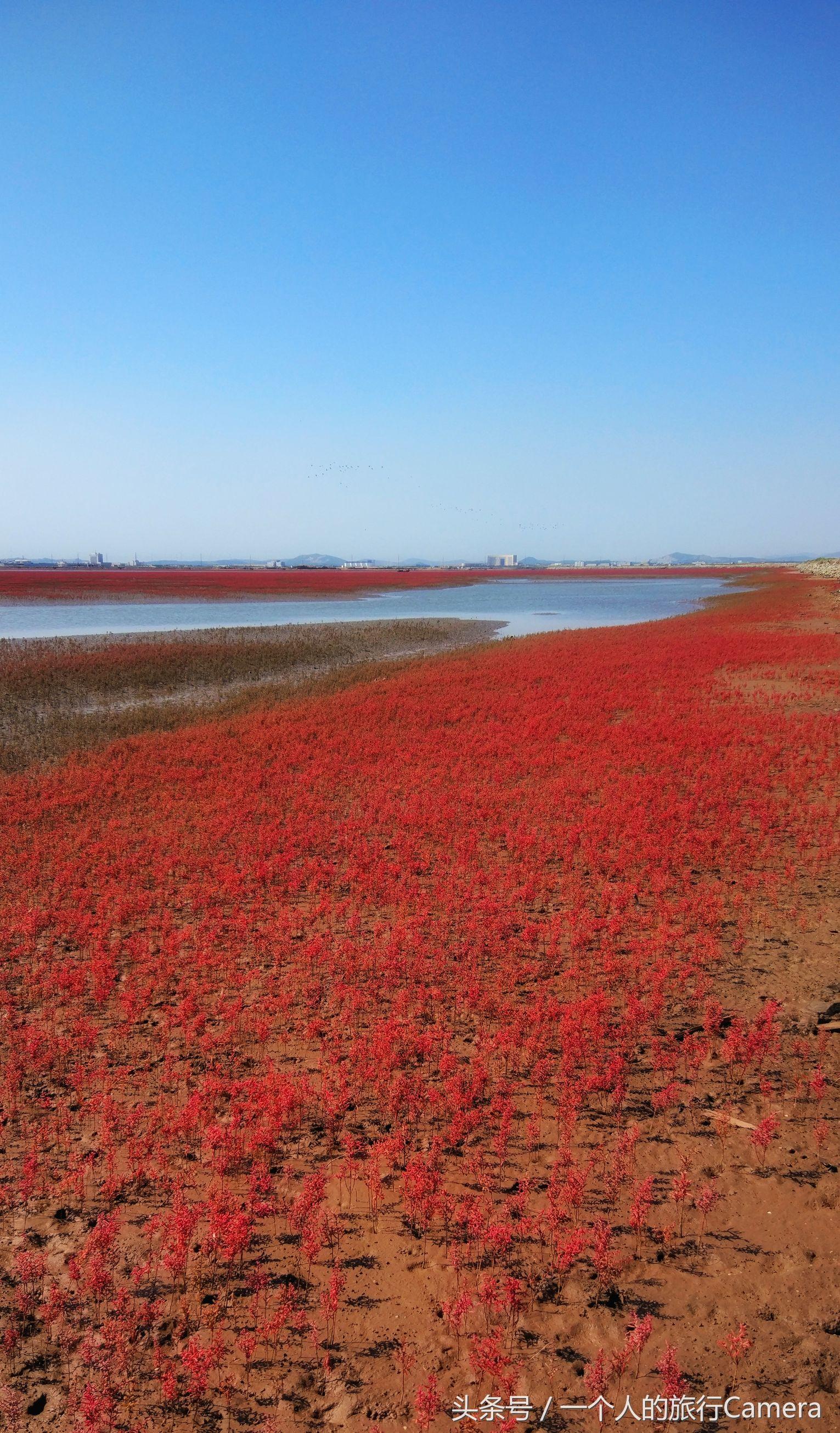 探寻历史底蕴与现代风采共融的锦州风采